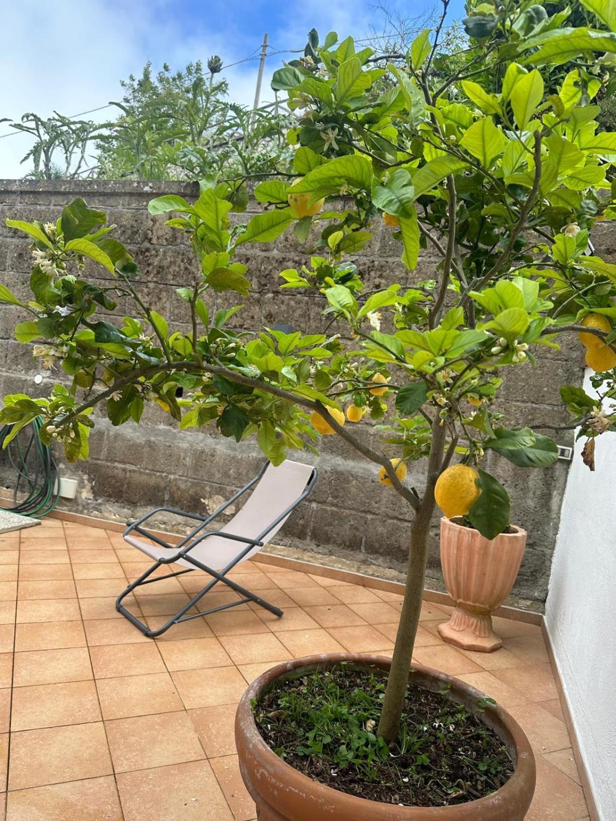 מסה לוברנסה Villetta Le Costiere מראה חיצוני תמונה